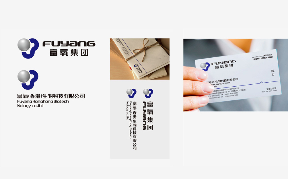 富氧集团VIS系统设计